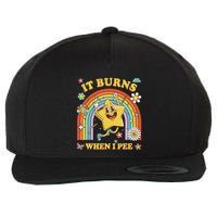 Funny Saying It Burns When I Pee Sarcastic Meme Wool Snapback Cap