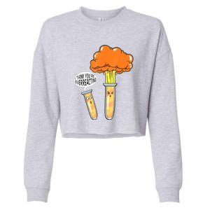 Funny Science I Think Youre Overreacting Nerd Chemistry Gift Cropped Pullover Crew