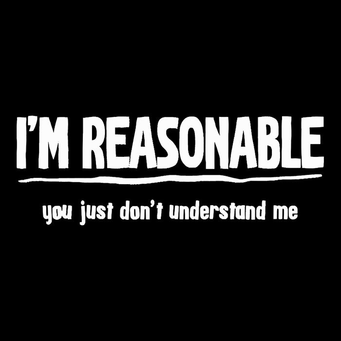 Funny Sarcastic Im Reasonable You Dont Understand Short Acrylic Beanie