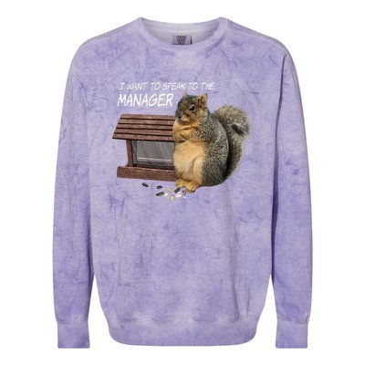 Funny Squirrel I Want To Speak To The Manager Colorblast Crewneck Sweatshirt