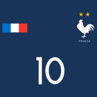 France Soccer Jersey France 10 Soccer Football Fan Doggie Tank