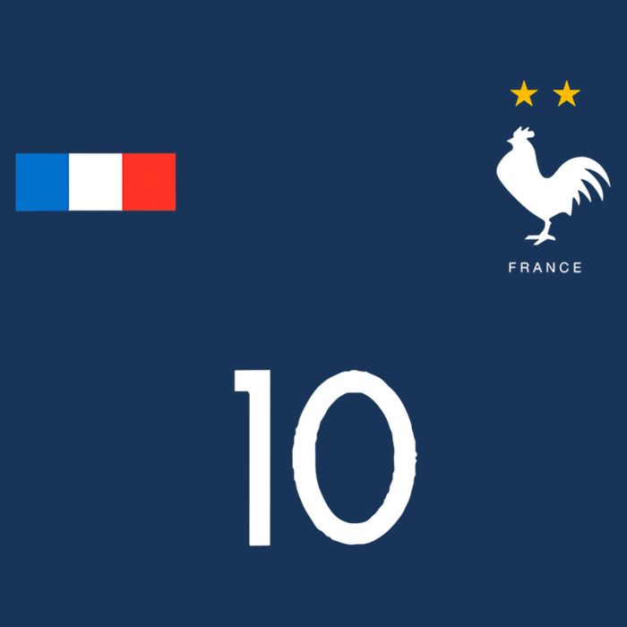 France Soccer Jersey France 10 Soccer Football Fan Doggie Tank