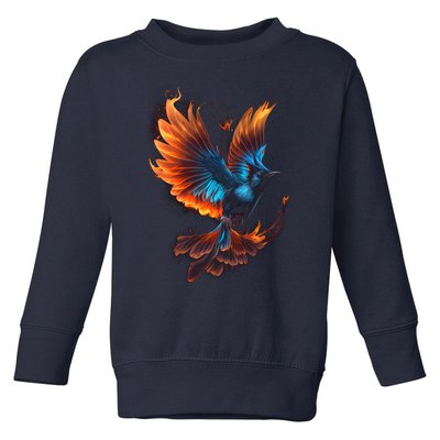 Fiery Stellar's Jay Graphic Tees Toddler Sweatshirt