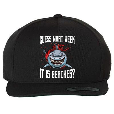 Funny Shark Joke Guess What Week It Is Sarcastic Party Beach Gift Wool Snapback Cap