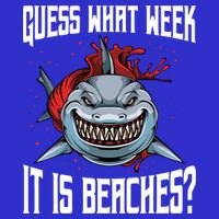Funny Shark Joke Guess What Week It Is Sarcastic Party Beach Gift 16 in Basic Backpack