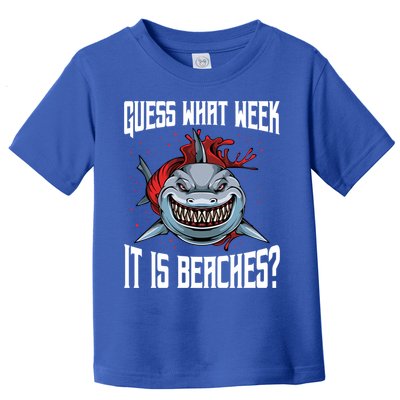 Funny Shark Joke Guess What Week It Is Sarcastic Party Beach Gift Toddler T-Shirt