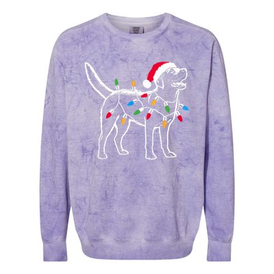 Funny Santa Labrador Retriever Christmas Lights Dog Lover Colorblast Crewneck Sweatshirt