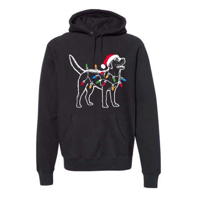 Funny Santa Labrador Retriever Christmas Lights Dog Lover Premium Hoodie