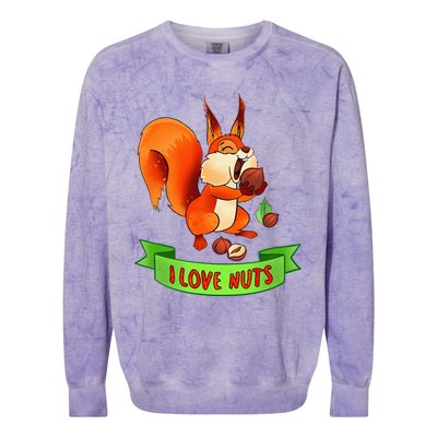 Funny Squirrel Lover Quote I Love Nuts Squirrel Pet Owner Colorblast Crewneck Sweatshirt