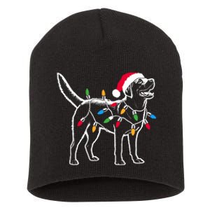 Funny Santa Labrador Retriever Christmas Lights Dog Lover Short Acrylic Beanie