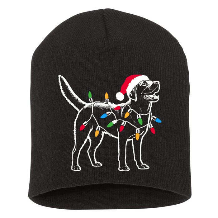 Funny Santa Labrador Retriever Christmas Lights Dog Lover Short Acrylic Beanie