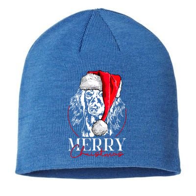 Funny Santa Longhaired Dachshund Merry Christmas Dog Mom Dog Gift Sustainable Beanie