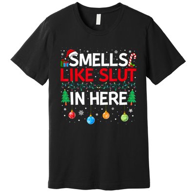 Funny Smells Like Slut In Here Embarrassing Women Adult Meme Premium T-Shirt