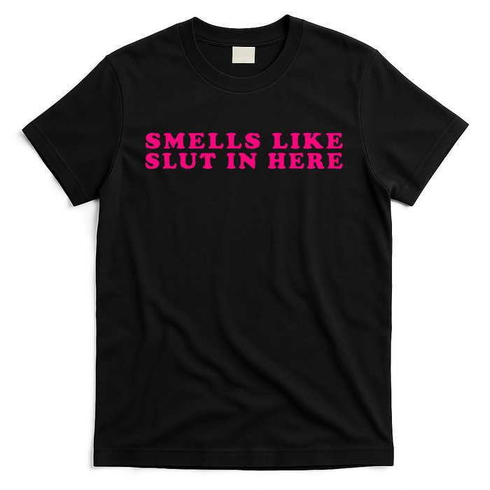 Funny Smells Like Sluts In Here T-Shirt