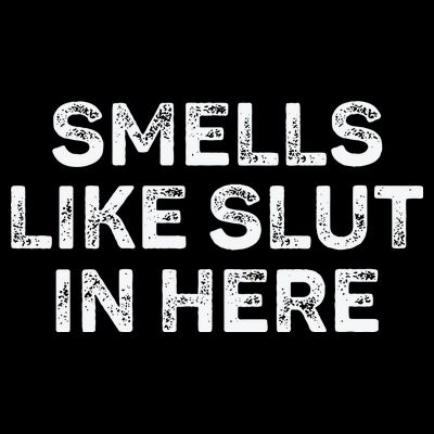 Funny Smells Like Slut In Here Offensive Adult Humor T-Shirt