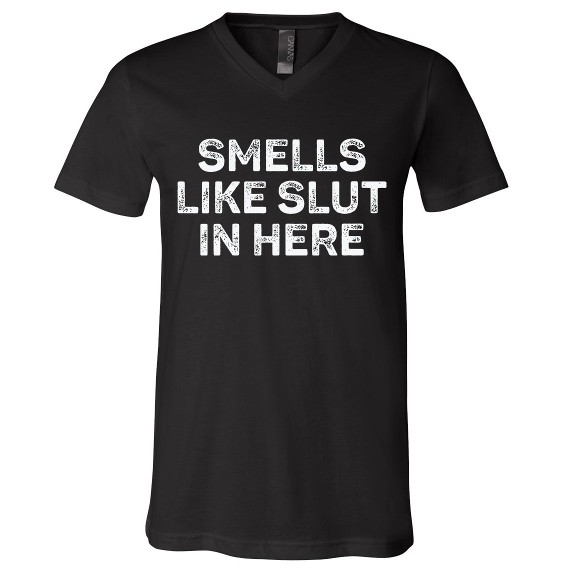 Funny Smells Like Slut In Here Offensive Adult Humor V-Neck T-Shirt