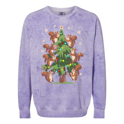 Funny Squirrel Lover Xmas Lights Squirrel Christmas Tree Gift Colorblast Crewneck Sweatshirt