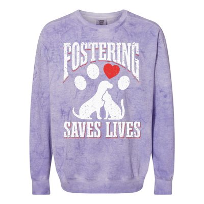 Fostering Saves Lives Rescue Cat Rescue Dog Animal Rescue Colorblast Crewneck Sweatshirt