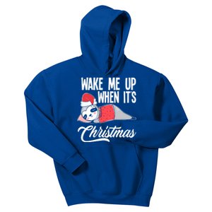 Funny Sloth Lover Wake Me Up When ItS Christmas Gift Kids Hoodie