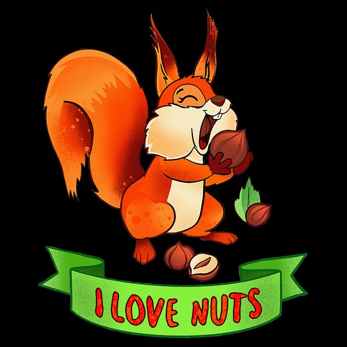 Funny Squirrel Lover Quote I Love Nuts Squirrel Pet Owner Mesh Reversible Basketball Jersey Tank