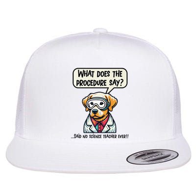 Funny Sarcastic “Lab Dog” Science Teacher Premium Flat Bill Trucker Hat