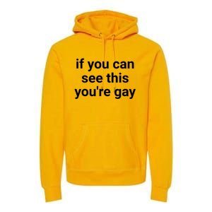 Funny Saying Men Pride Gay If You Can See This Youre Gay Premium Hoodie