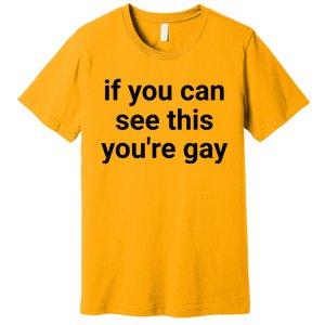 Funny Saying Men Pride Gay If You Can See This Youre Gay Premium T-Shirt