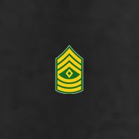 First Sergeant Military Badge Garment-Dyed Heavyweight T-Shirt