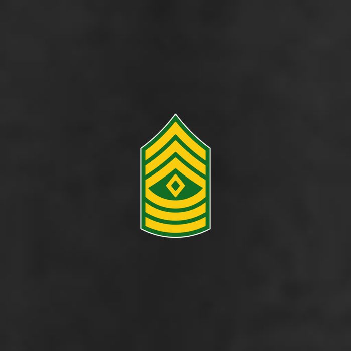 First Sergeant Military Badge Garment-Dyed Heavyweight T-Shirt