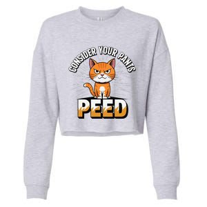 Funny Silly Meme Cat Consider Your Pants Peedcool Cropped Pullover Crew