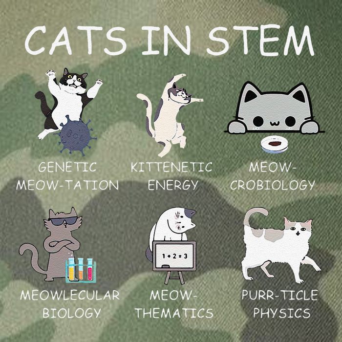Funny Science Meme Cats In Stem Scientist Nerd Cat Lover Legacy Tie Dye Trucker Hat