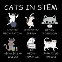 Funny Science Meme Cats In Stem Scientist Nerd Cat Lover Premium T-Shirt