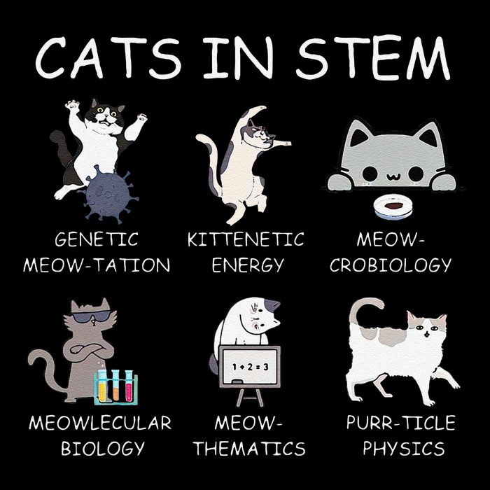 Funny Science Meme Cats In Stem Scientist Nerd Cat Lover Premium T-Shirt