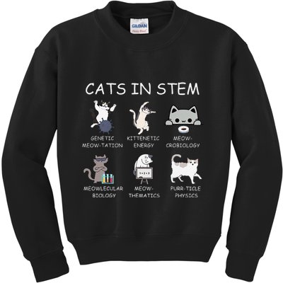 Funny Science Meme Cats In Stem Scientist Nerd Cat Lover Kids Sweatshirt