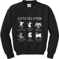 Funny Science Meme Cats In Stem Scientist Nerd Cat Lover Kids Sweatshirt