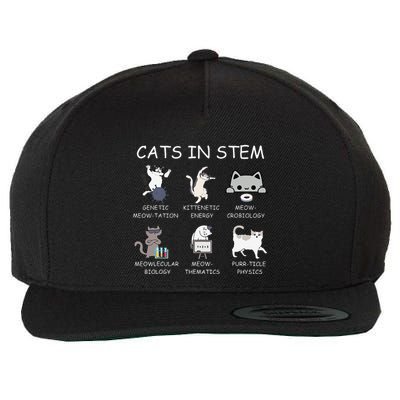 Funny Science Meme Cats In Stem Scientist Nerd Cat Lover Wool Snapback Cap
