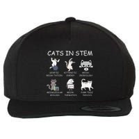 Funny Science Meme Cats In Stem Scientist Nerd Cat Lover Wool Snapback Cap