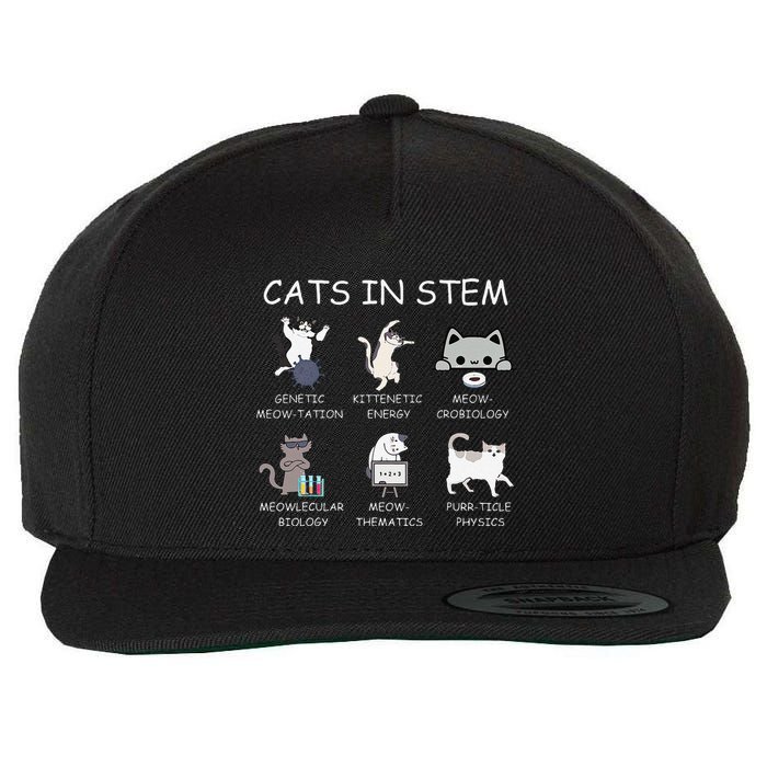 Funny Science Meme Cats In Stem Scientist Nerd Cat Lover Wool Snapback Cap