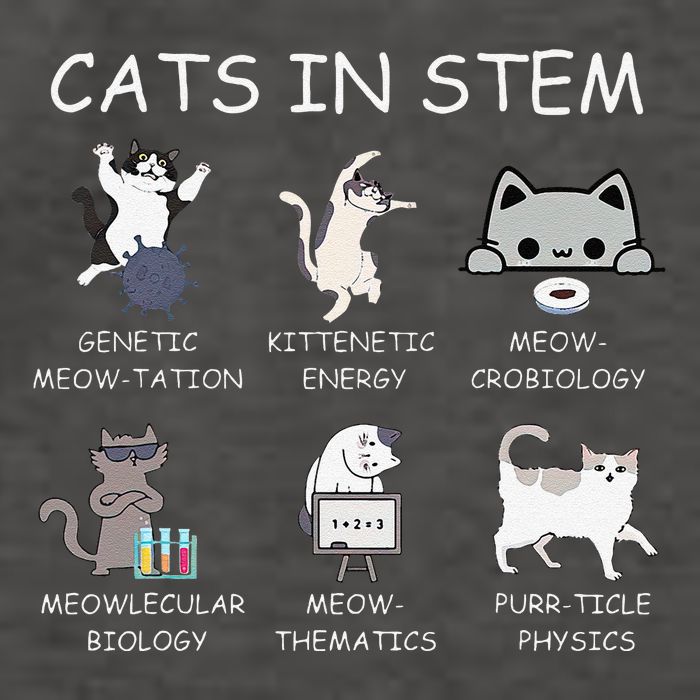 Funny Science Meme Cats In Stem Scientist Nerd Cat Lover Vector Backpack