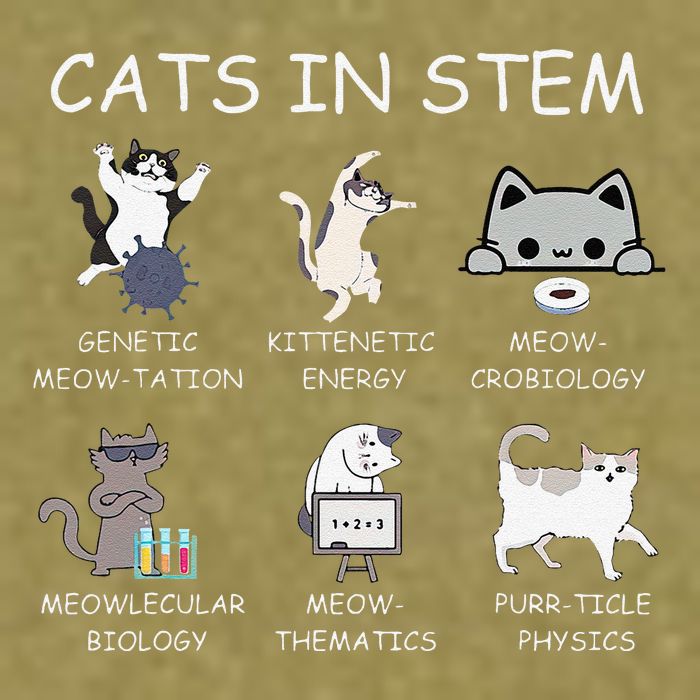 Funny Science Meme Cats In Stem Scientist Nerd Cat Lover Garment-Dyed Women's Muscle Tee