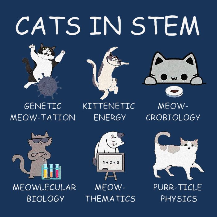 Funny Science Meme Cats In Stem Scientist Nerd Cat Lover Infant Baby Jersey Bodysuit