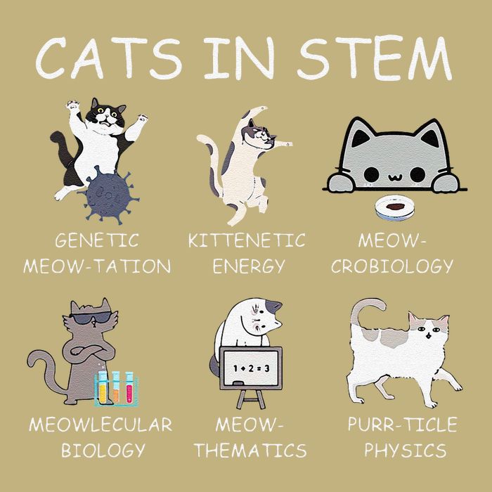 Funny Science Meme Cats In Stem Scientist Nerd Cat Lover Button