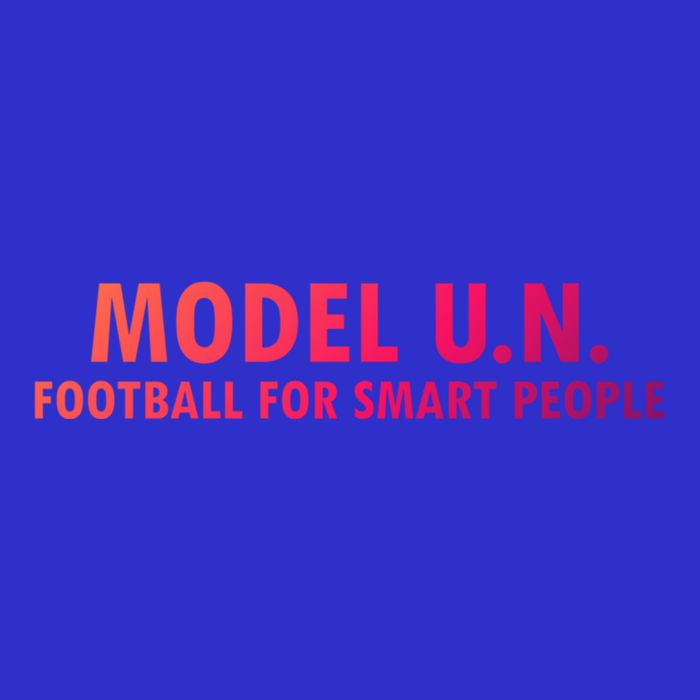 Funny Saying Model U N Gift United Nations Funny Gift Premium T-Shirt