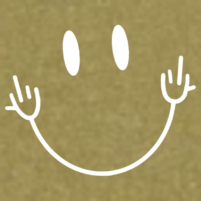 Funny Smiley Middle Finger Smile Face Garment-Dyed Women's Muscle Tee