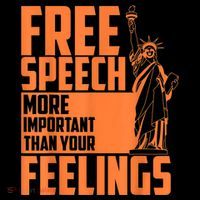 Free Speech More Important Than Your Feelings Meaningful Gift Wool Snapback Cap