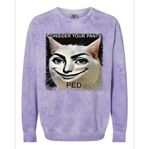 Funny Silly Meme Cat Consider Your Pants Peedcool Colorblast Crewneck Sweatshirt