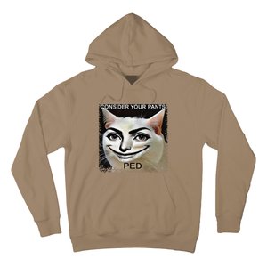 Funny Silly Meme Cat Consider Your Pants Peedcool Hoodie