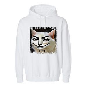 Funny Silly Meme Cat Consider Your Pants Peedcool Garment-Dyed Fleece Hoodie