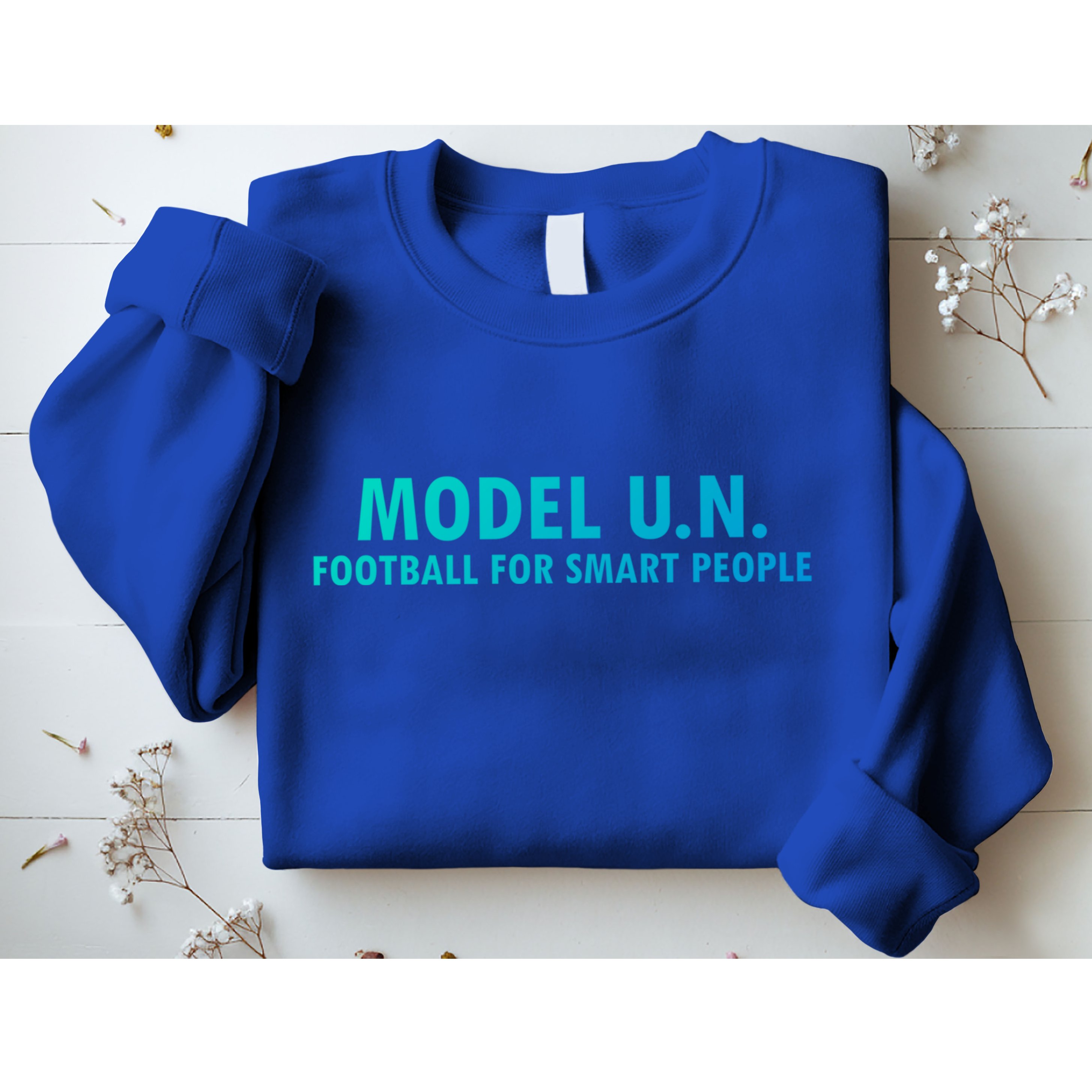 Funny Saying Model U N Gift United Nations Funny Gift Sweatshirt