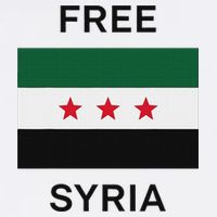 Free Syria New Syrian Flag Syria Freedom Celebration Toddler T-Shirt